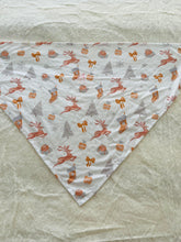 Load image into Gallery viewer, Pet Bandanas
